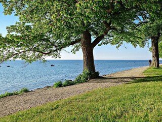 Vakantiehuis Schweden  18