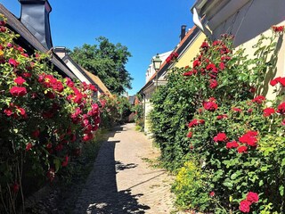 Vakantiehuis Schweden  28