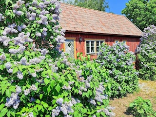 Ferienhaus Schweden Außenaufnahme 10