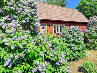 Ferienhaus Schweden Außenaufnahme 3