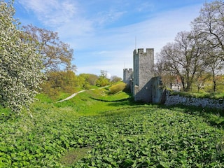 Vakantiehuis Schweden  19