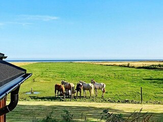 Vakantiehuis Lyngså  5