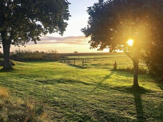 Vakantiehuis Lyngså  17