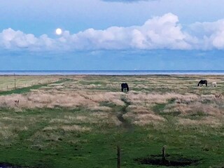 Maison de vacances Lyngså  27