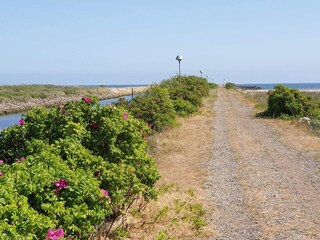 Vakantiehuis Lyngså  16