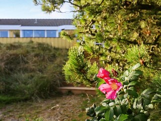 Maison de vacances Blokhus  14