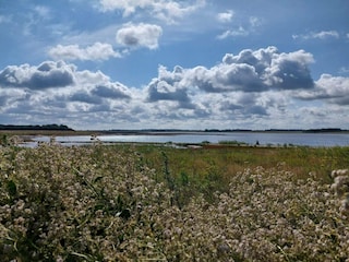 Ferienhaus Bogense  10
