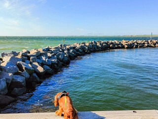 Casa per le vacanze Løgstør  14