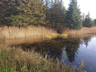 Holiday house Thorsminde  24