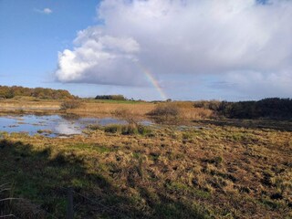 Maison de vacances Thorsminde  19