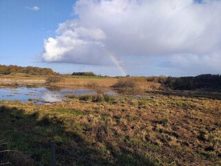 Vakantiehuis Thorsminde  28