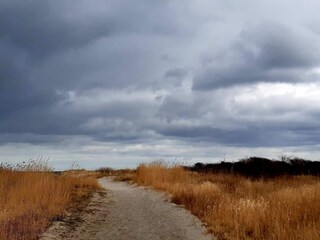 Casa per le vacanze Frederikshavn  22