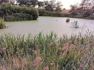 Casa per le vacanze Frederikshavn  17