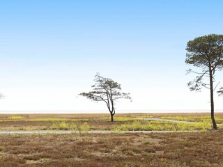 Vakantiehuis Læsø  4