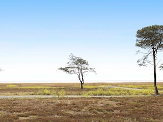 Vakantiehuis Læsø  5