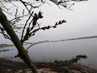 Vakantiehuis Hejlsminde  18