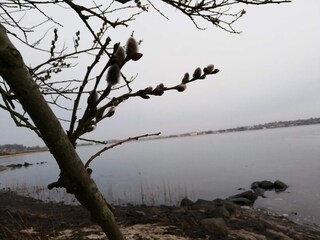 Maison de vacances Hejlsminde  23