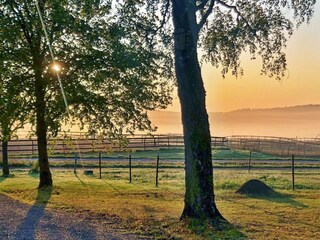 Casa de vacaciones Nyköping Grabación al aire libre 2