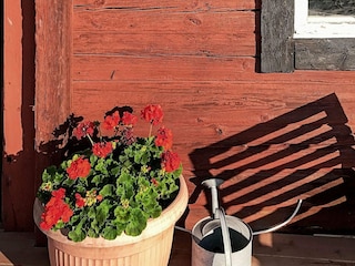 Vakantiehuis Nyköping Buitenaudio-opname 9