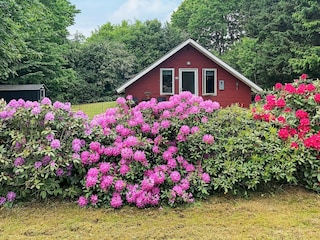 Holiday house Arrild Outdoor Recording 7