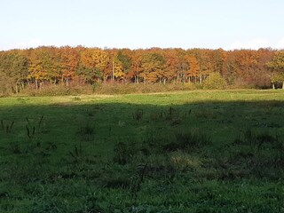 Casa per le vacanze Arrild Registrazione all'aperto 8