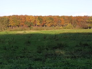 Casa per le vacanze Arrild Registrazione all'aperto 9
