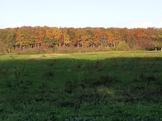 Ferienhaus Arrild Außenaufnahme 5