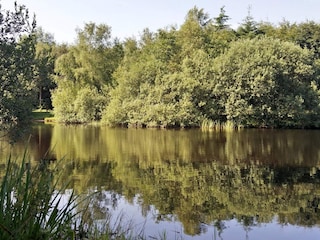 Vakantiehuis Arrild  31