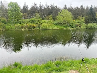 Ferienhaus Arrild  35