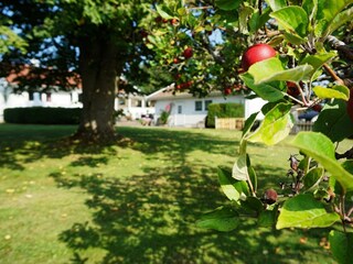 Maison de vacances Onsala Enregistrement extérieur 6