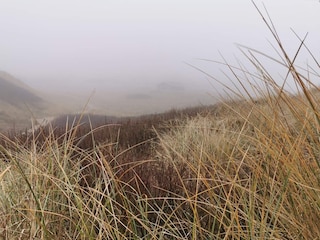 Ferienhaus Søndervig  35