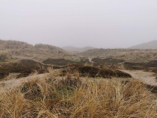 Maison de vacances Søndervig  20