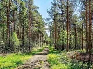 Casa per le vacanze Schweden  21