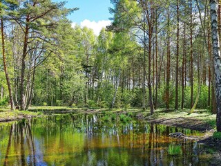 Casa de vacaciones Schweden  34
