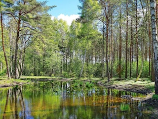 Ferienhaus Schweden  34