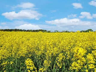 Holiday house Schweden  14