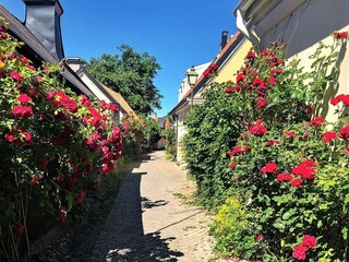 Casa de vacaciones Visby  23