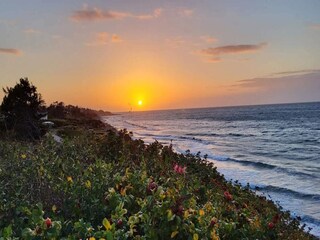 Casa per le vacanze Udsholt Strand  18