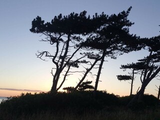 Maison de vacances Stillinge Strand  13