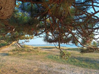 Vakantiehuis Stillinge Strand  29