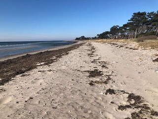 Ferienhaus Stillinge Strand  43