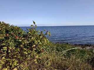 Casa per le vacanze Købingsmark  36