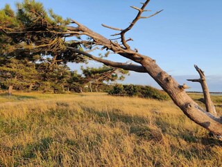 Vakantiehuis Stillinge Strand  37