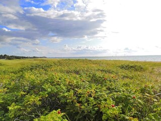 Vakantiehuis Stillinge Strand  52