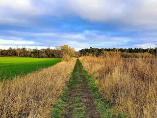 Vakantiehuis Grenaa  29