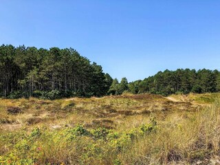 Casa per le vacanze Grenaa  5