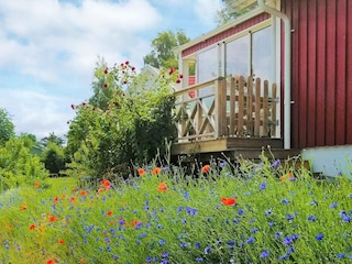 Ferienhaus Varekil Außenaufnahme 6