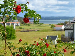 Vakantiehuis Varekil  34