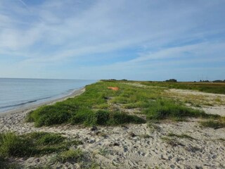 Ferienhaus Lyngså  32