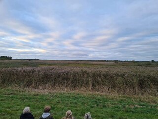 Vakantiehuis Rodenäs  9